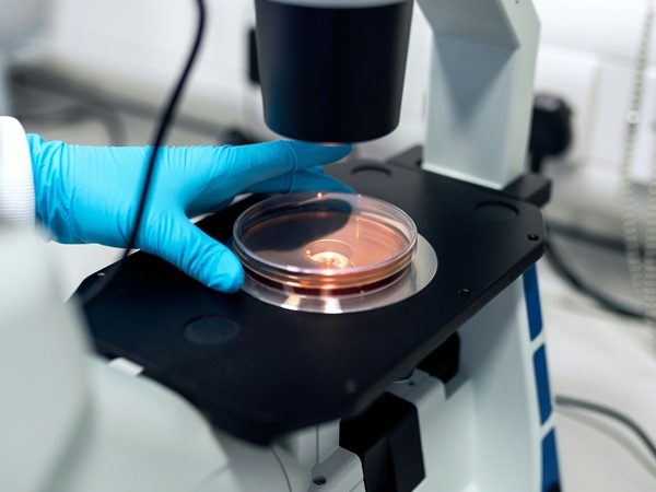 Premium Research Peptides